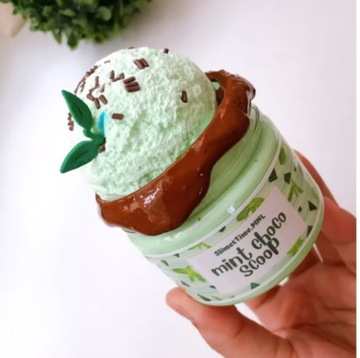 Mint Choco Scoop