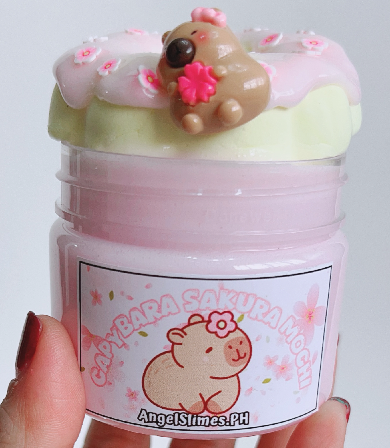 Capybara Sakura Mochi